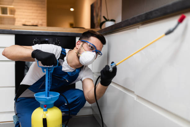 Best Affordable Pest Control Services  in Rosedale, MD