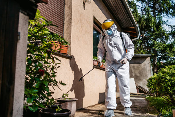 Best Pest Inspection Near Me  in Rosedale, MD