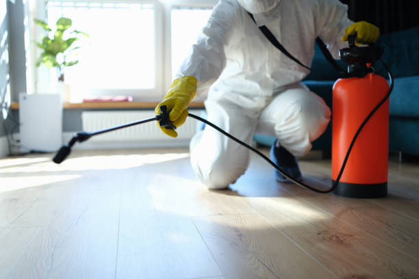 Trusted Rosedale, MD Pest Control Experts