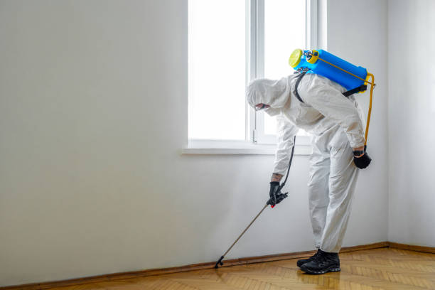 Pest Control Cost in Rosedale, MD