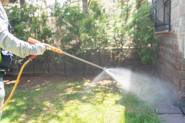 Pest Prevention Services in Rosedale, MD