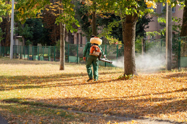 Best Best Pest Control Companies  in Rosedale, MD