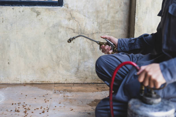 Best Mosquito Control Services  in Rosedale, MD