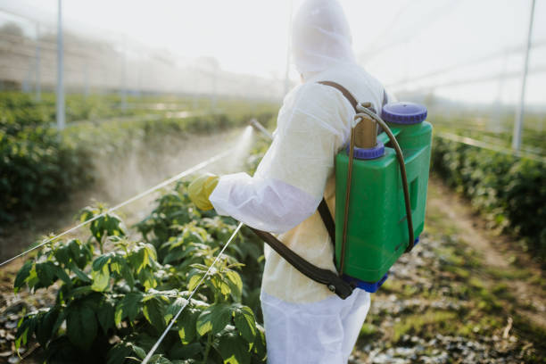 Best Wildlife Control Services  in Rosedale, MD